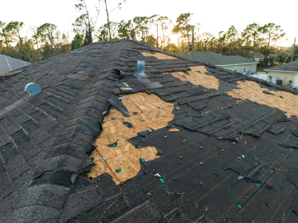 Best 4 Ply Roofing  in Kurtistown, HI