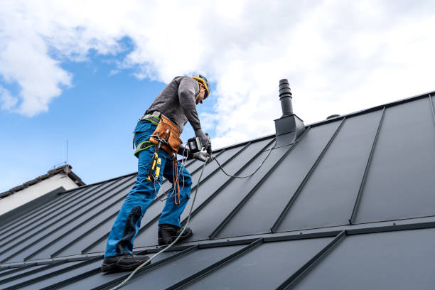 Best Roof Coating and Sealing  in Kurtistown, HI